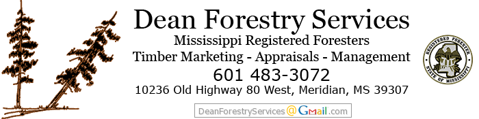 Dean Forestry Services